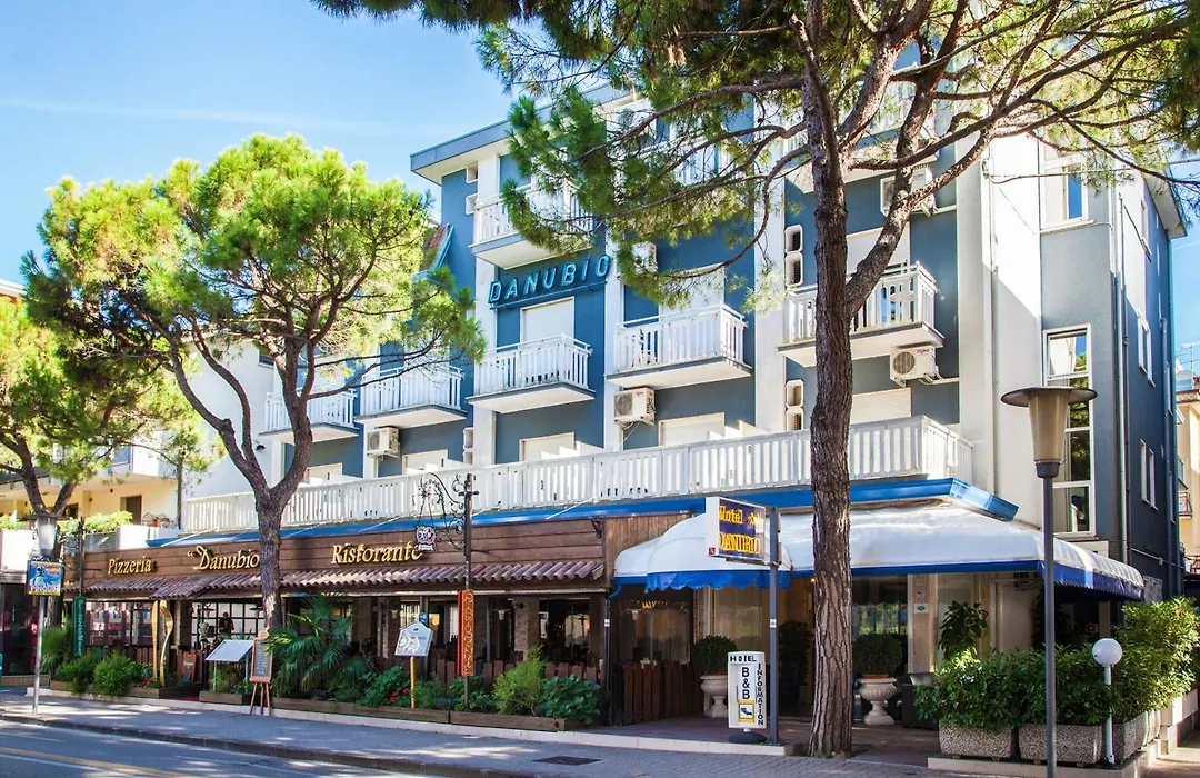 Hotel Danubio-1